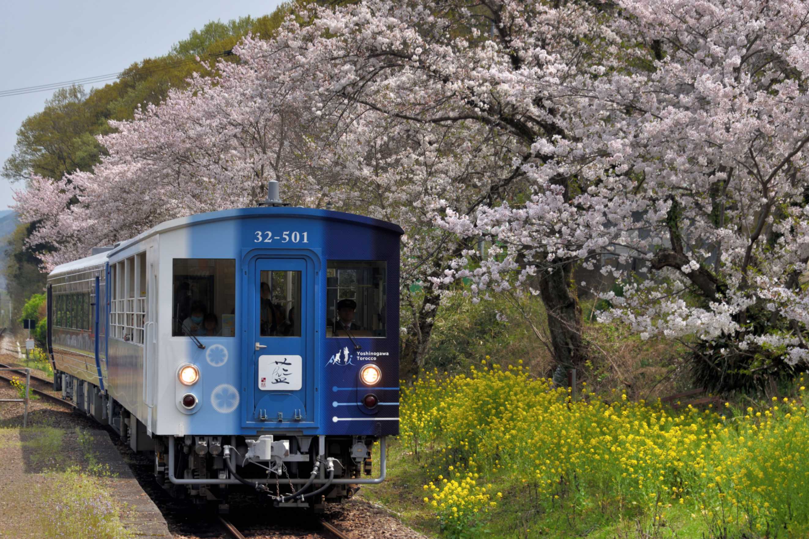 JR四国-藍よしのがわトロッコ