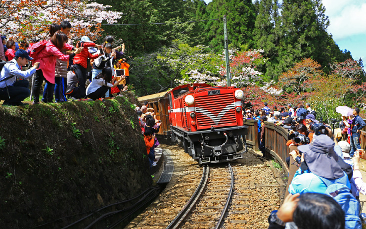 阿里山森林鉄路-祝山線