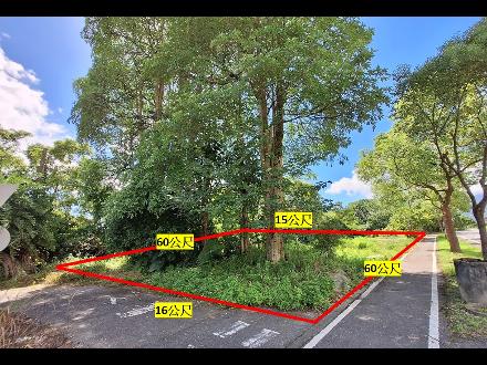 【花蓮營業分處】【土地標租】【花蓮縣壽豐鄉豐南段1074－0001地號部分土地標租案】【113年12月10日－113年12月24日】上網照片.jpg