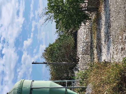 【臺中營業分處】【土地出租】【臺中市龍井區龍田段500之2、506地號部分土地標租案】【115.2.3~115.2.23】