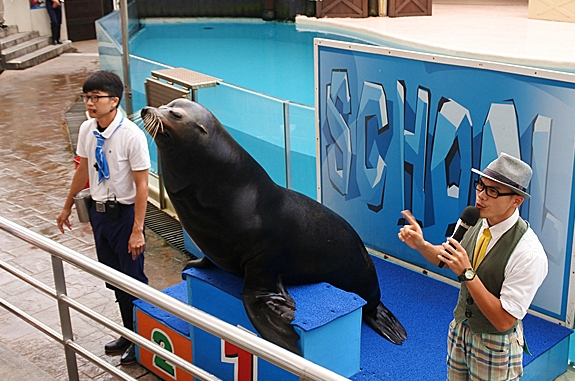 |蟬鳴童趣|後山玩一夏.海洋公園奇遇.親子共樂遊.鳴日花東3日(南港出發)