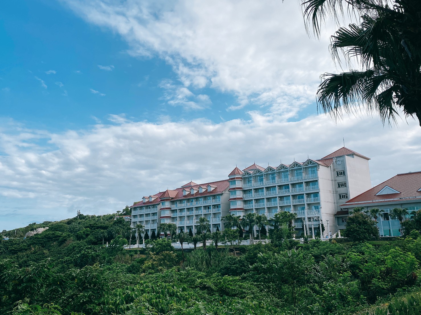 |蟬鳴童趣|後山玩一夏.海洋公園奇遇.親子共樂遊.鳴日花東3日(南港出發)