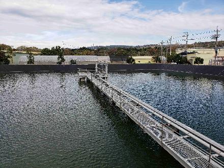 【臺中營業分處】【土地出租】【臺中市大肚區南王田段535、646、647地號部分土地標租案】【113.9.25~113.10.9】現場照片.jpg